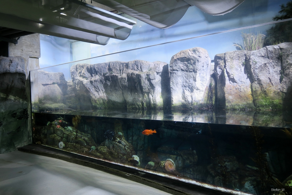 Surge Channel @ Northern Pacific gallery