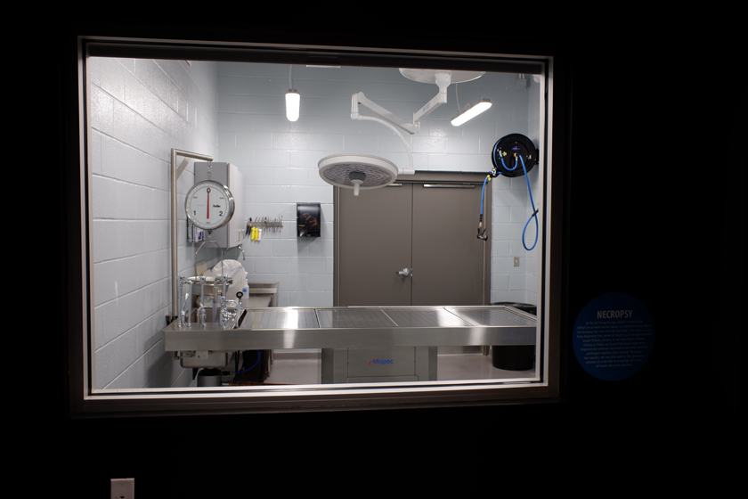 surgery room (public viewing)