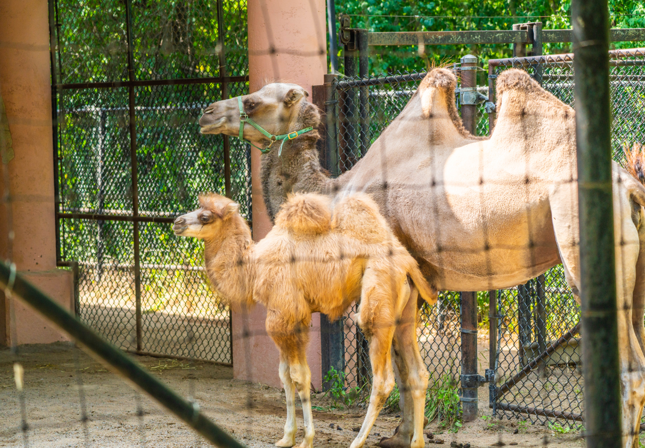 Suria (mom) and Zuri (daughter)