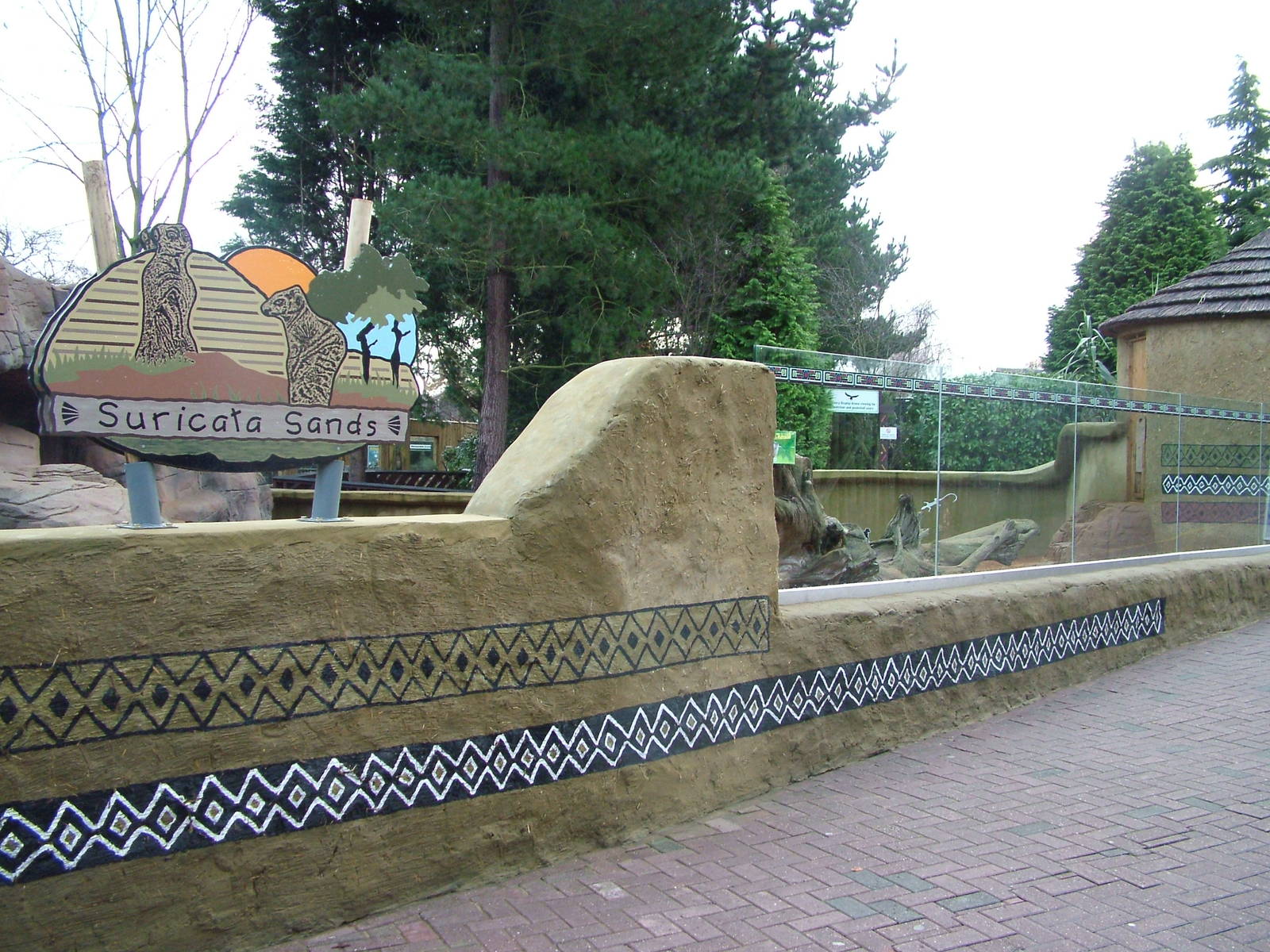 Suricata Sands at Colchester 29/11/09