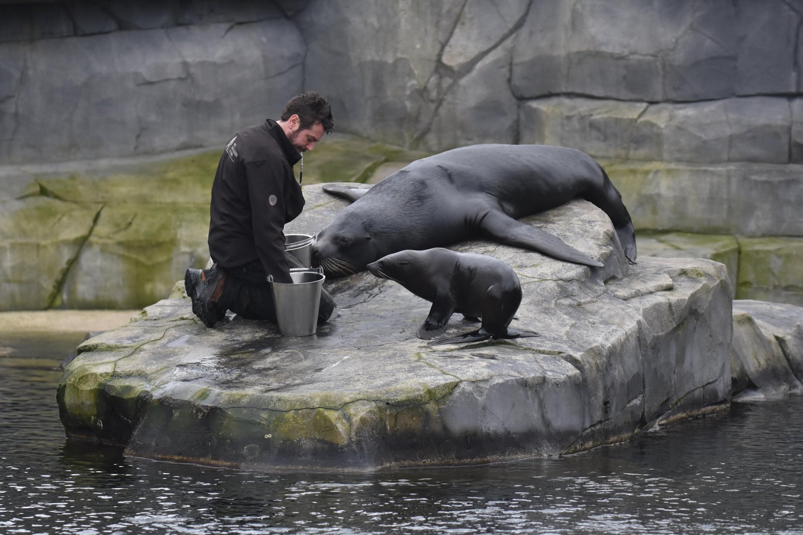 Surprising cohabitation