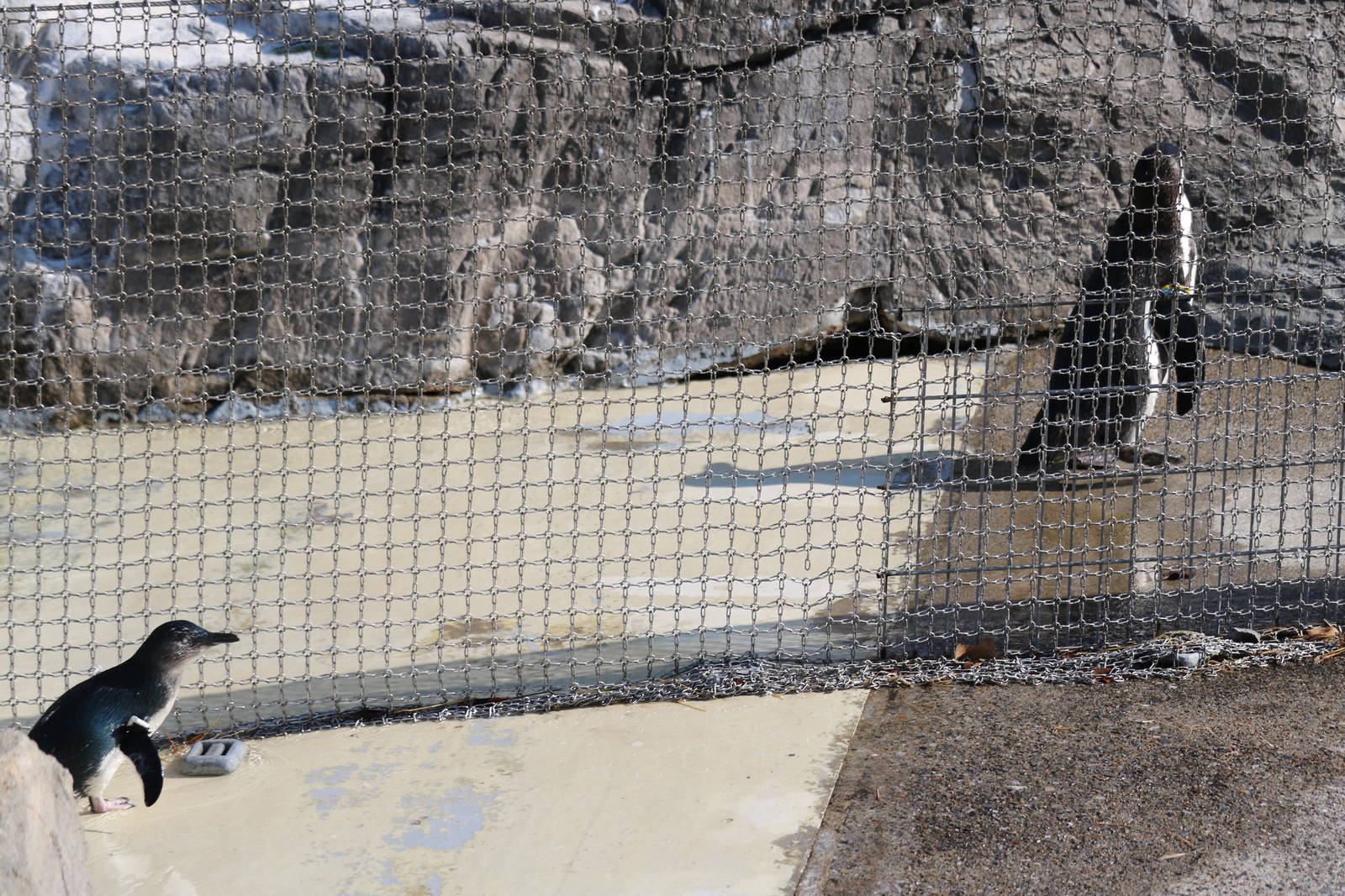 Surprisingly small, February 2016