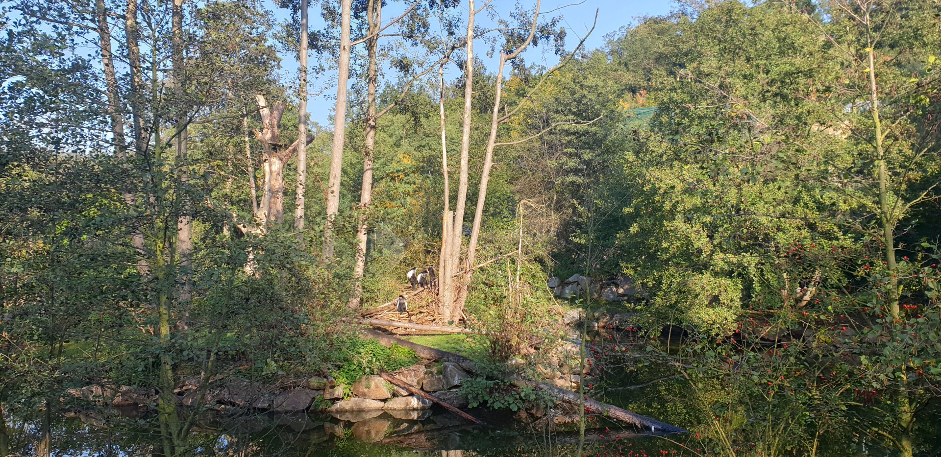 Surrounding Waters of Africa