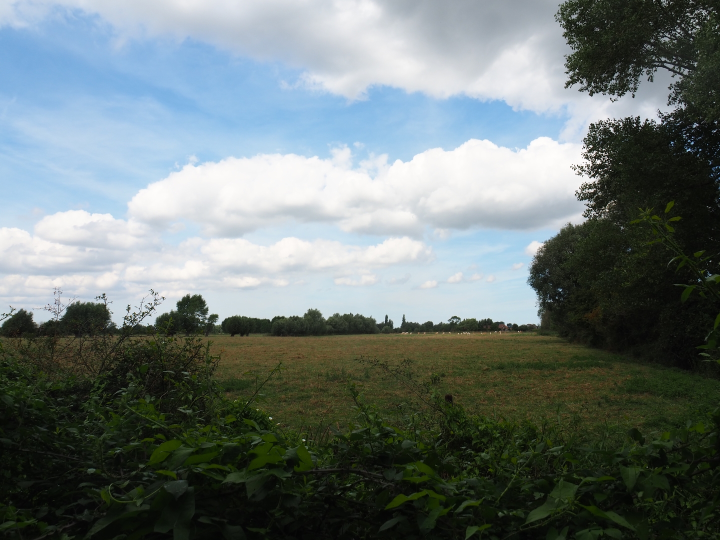 Surroundings of De Zonnegloed