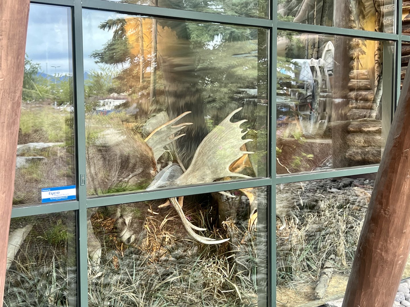 Survey of species on view in south-central Alaska