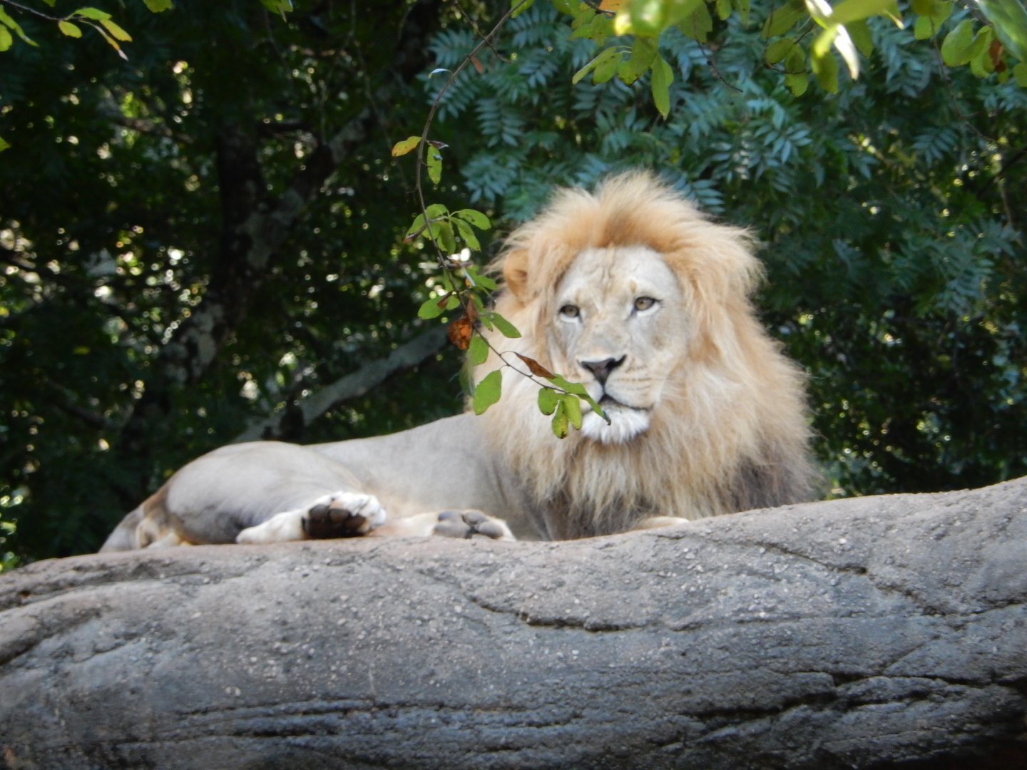 Surveying New Territory