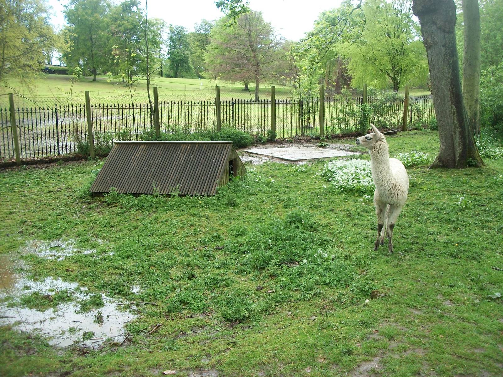 Surveying the scene, 10th May 2014