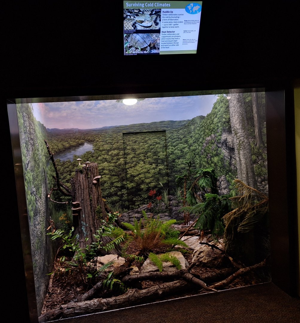 Surviving cold climates terrarium