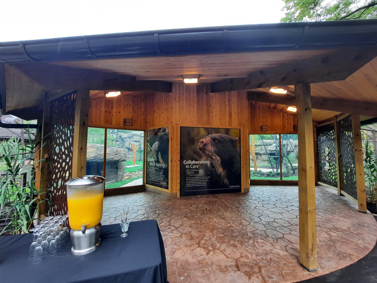 Susie's Bear Hollow- 2nd Viewing Shelter