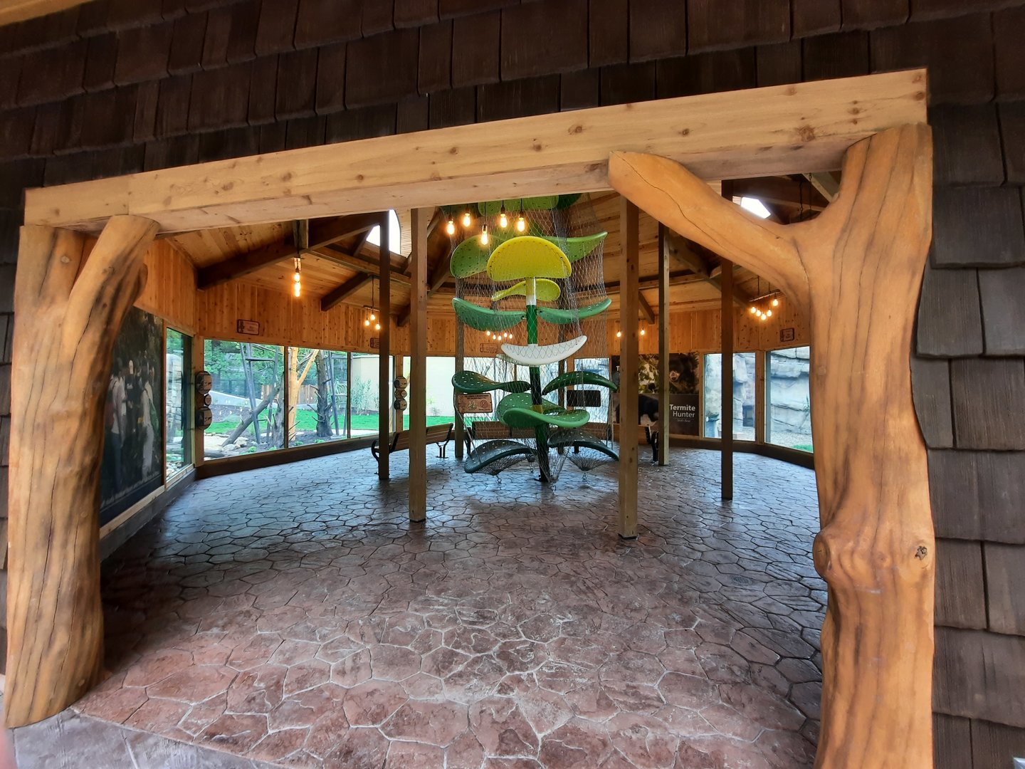 Susie's Bear Hollow- First Viewing Shelter