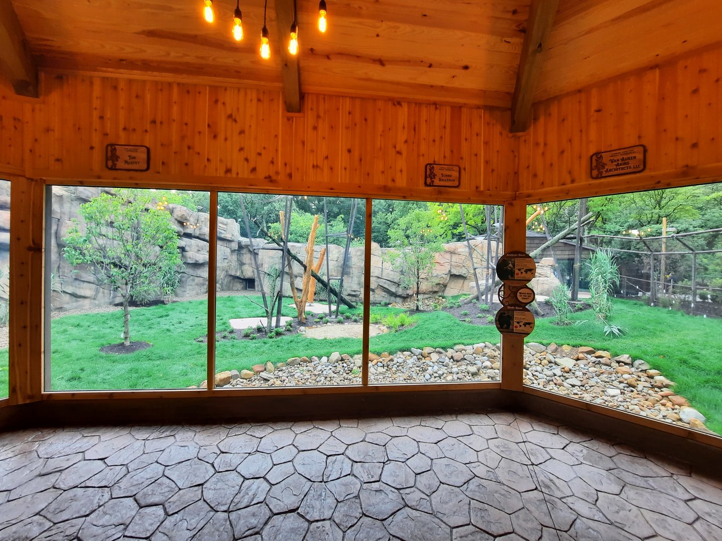 Susie's Bear Hollow- First Viewing Window