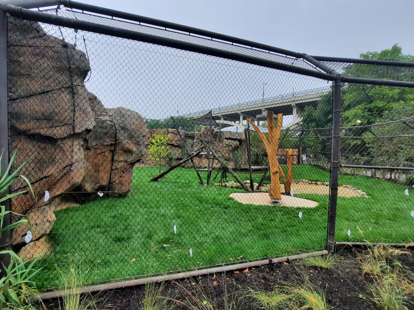 Susie's Bear Hollow- Fourth Bear Yard