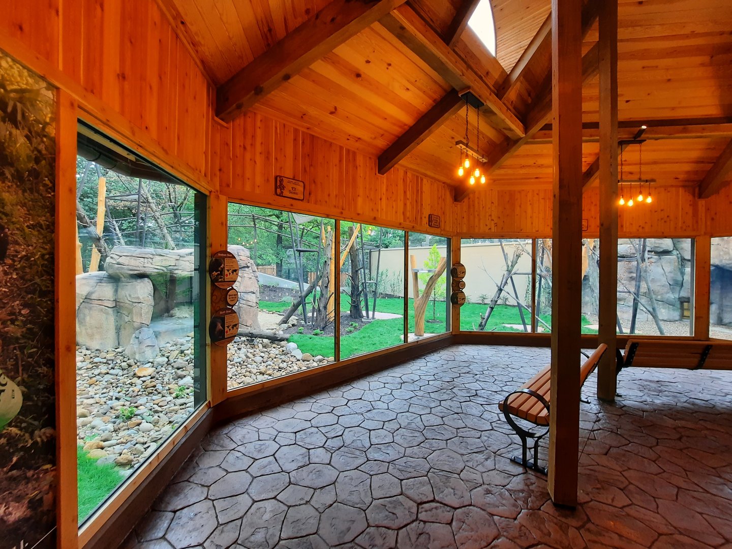 Susie's Bear Hollow - Second Viewing Window