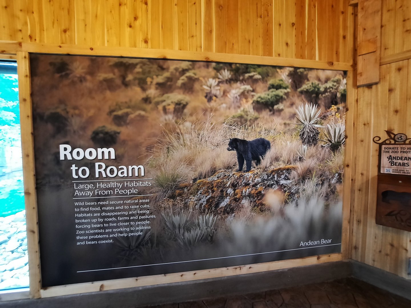 Susie's Bear Hollow- Signage