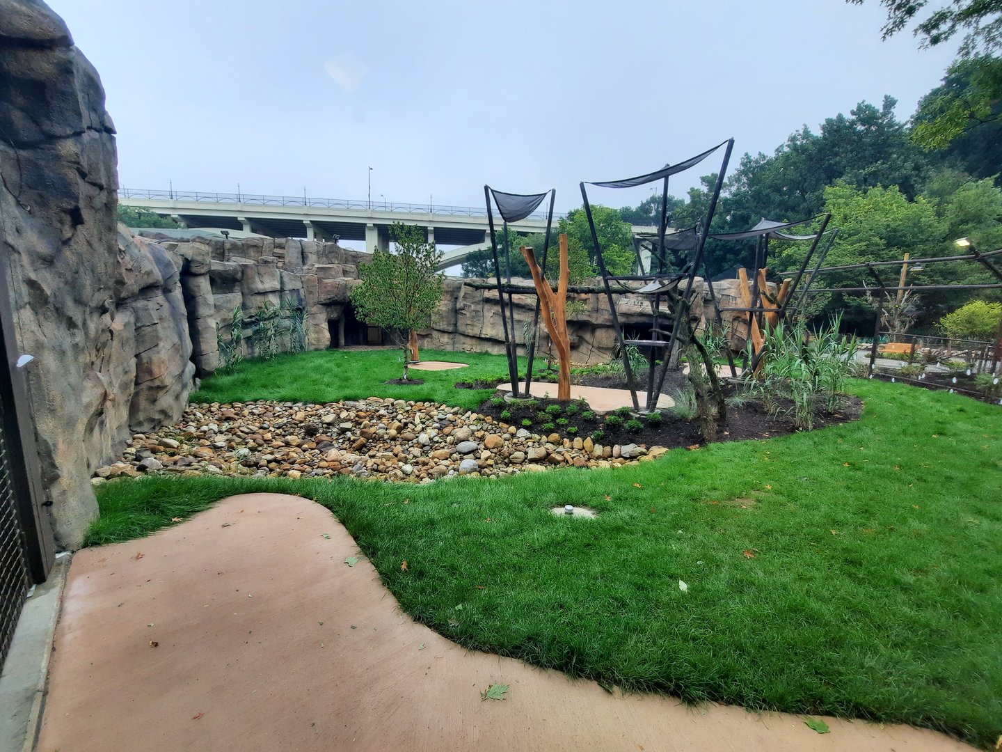 Susie's Bear Hollow- Third Bear Yard