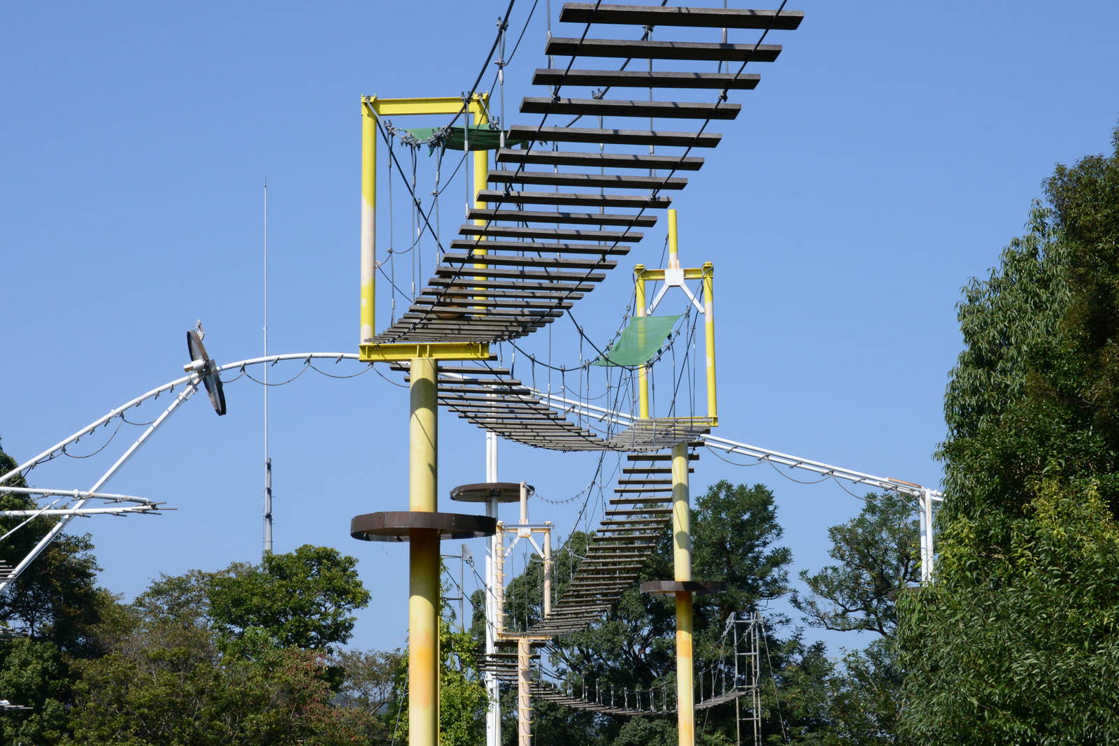 Suspension-bridge for Geoffroy's spider monkeys