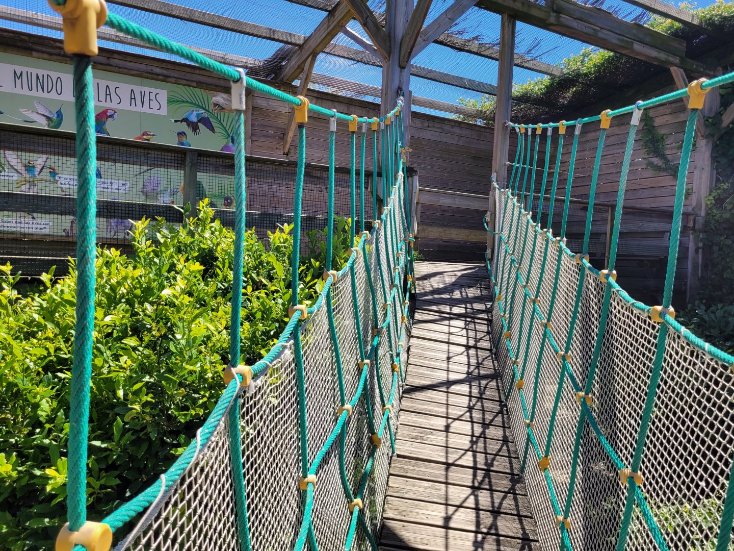 Suspension bridge -Sendaviva (2024)