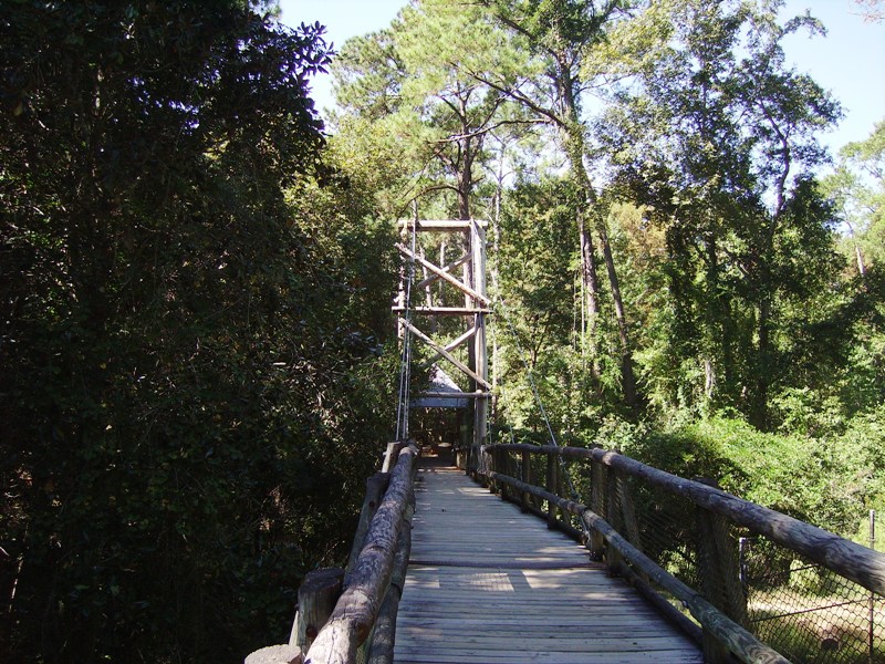 Suspension Bridge