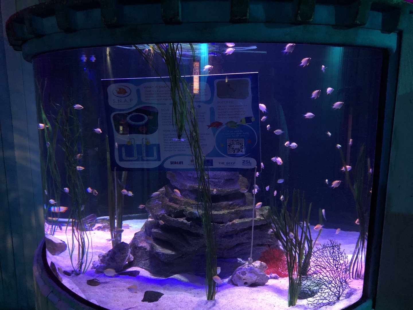 Sustainable Aquariums Project at SEA LIFE Scarborough (September 2022)
