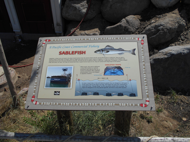 Sustainable fishery conservation sign