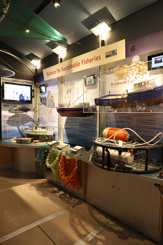 sustainable fishing display