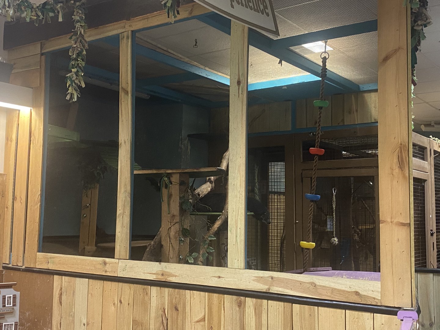 Sustainable Safari - Binturong Exhibit