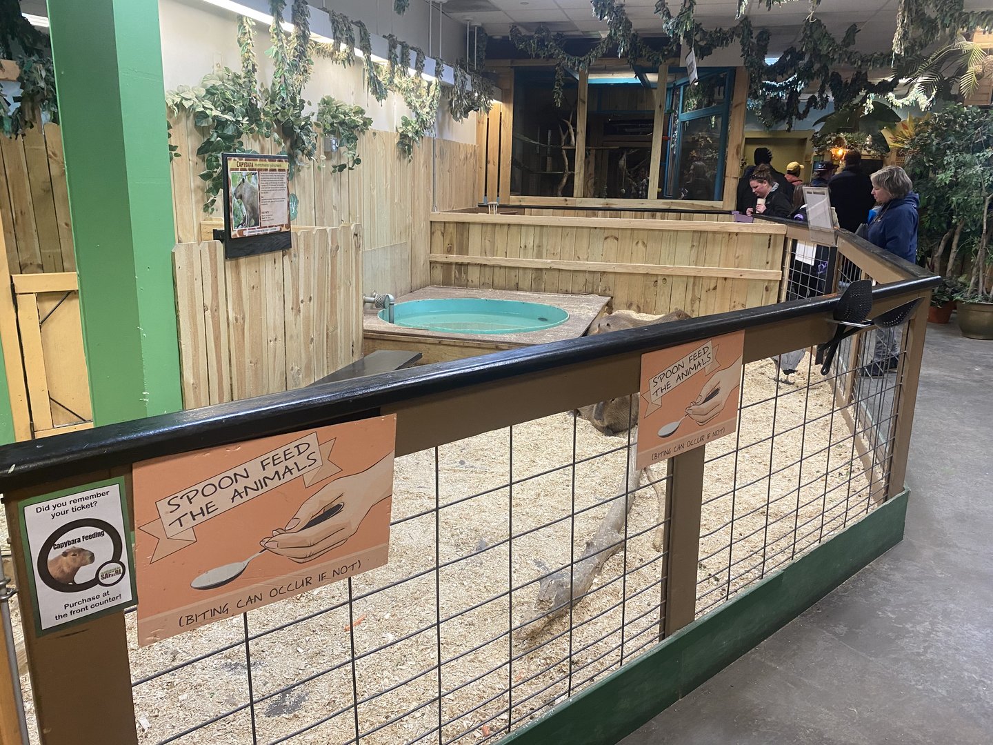 Sustainable Safari - Capybara/Cape Barren Goose Exhibit