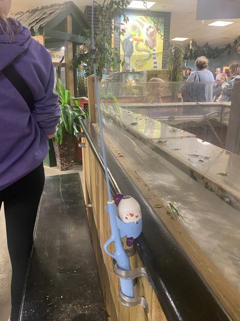 Sustainable Safari - Prairie Dog Feeding Pole