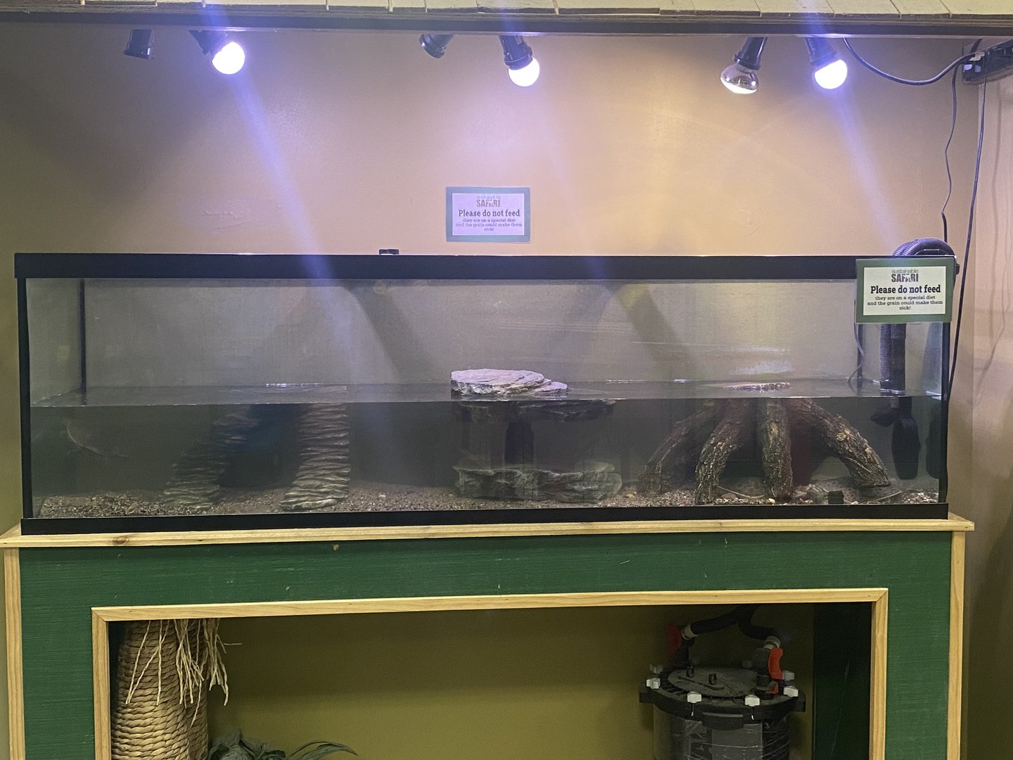 Sustainable Safari - Red-Eared Slider Tank