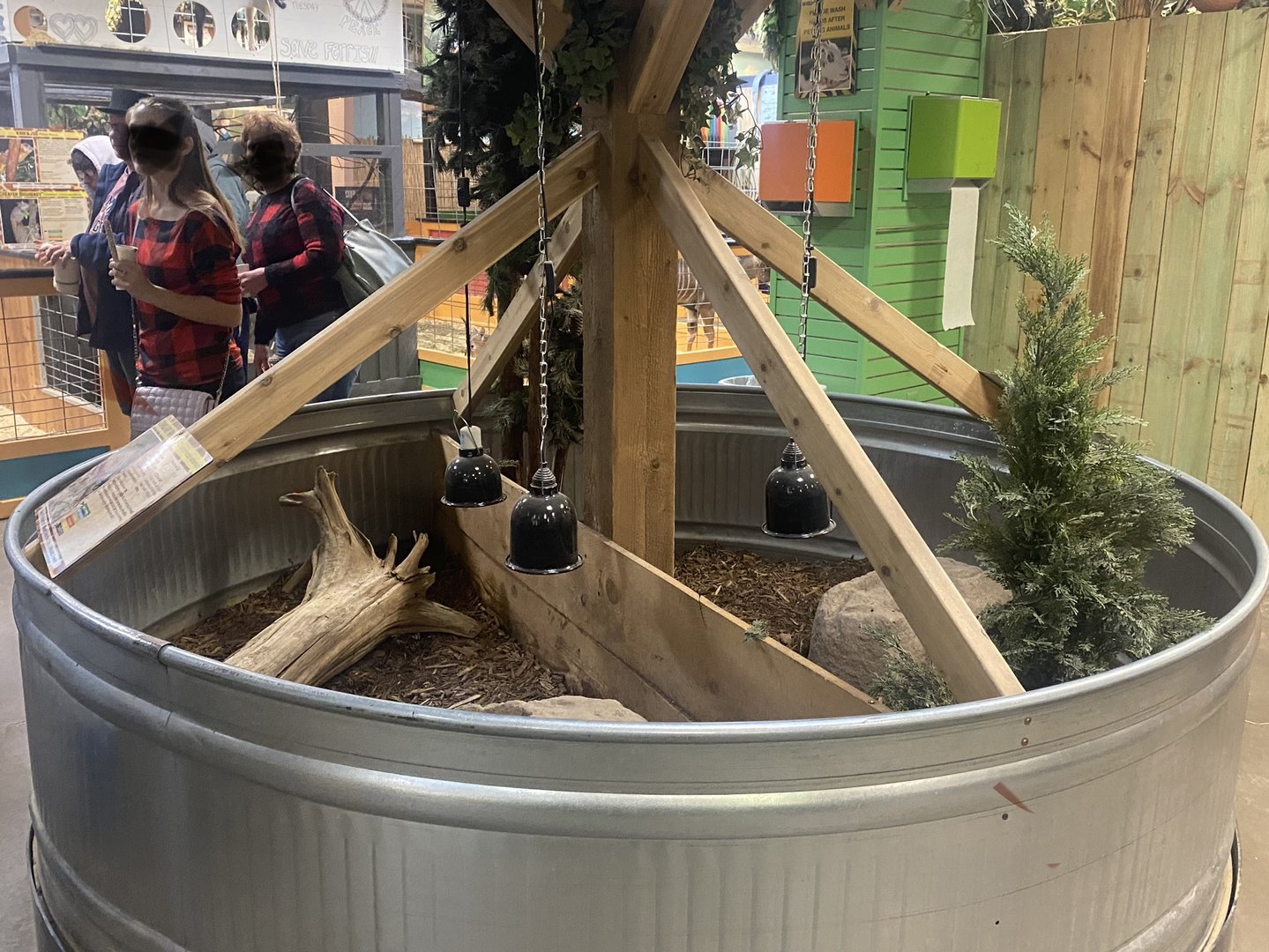 Sustainable Safari - Screaming Hairy Armadillo Exhibits