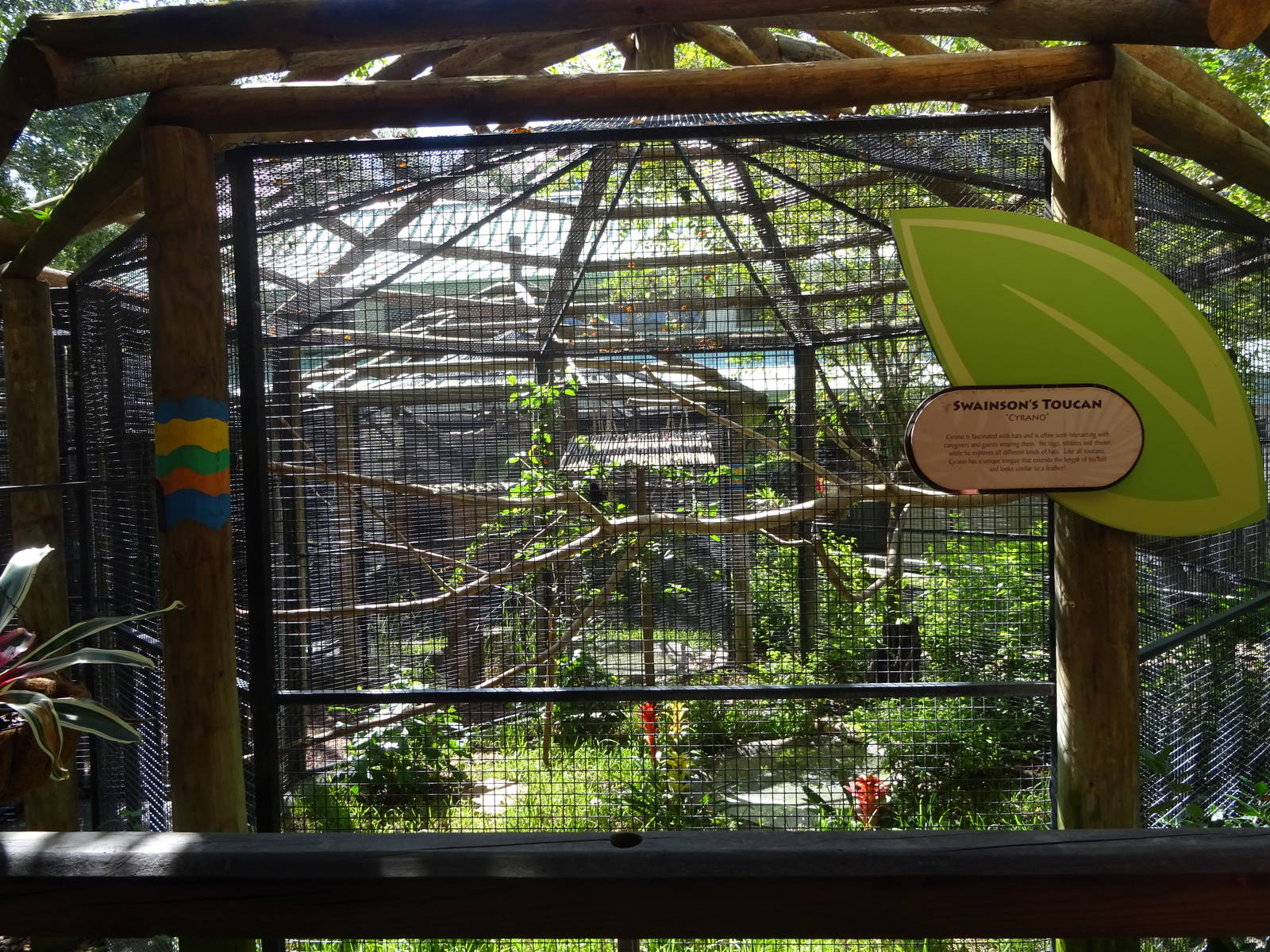 Swainson's Toucan Aviary at Busch Gardens Tampa