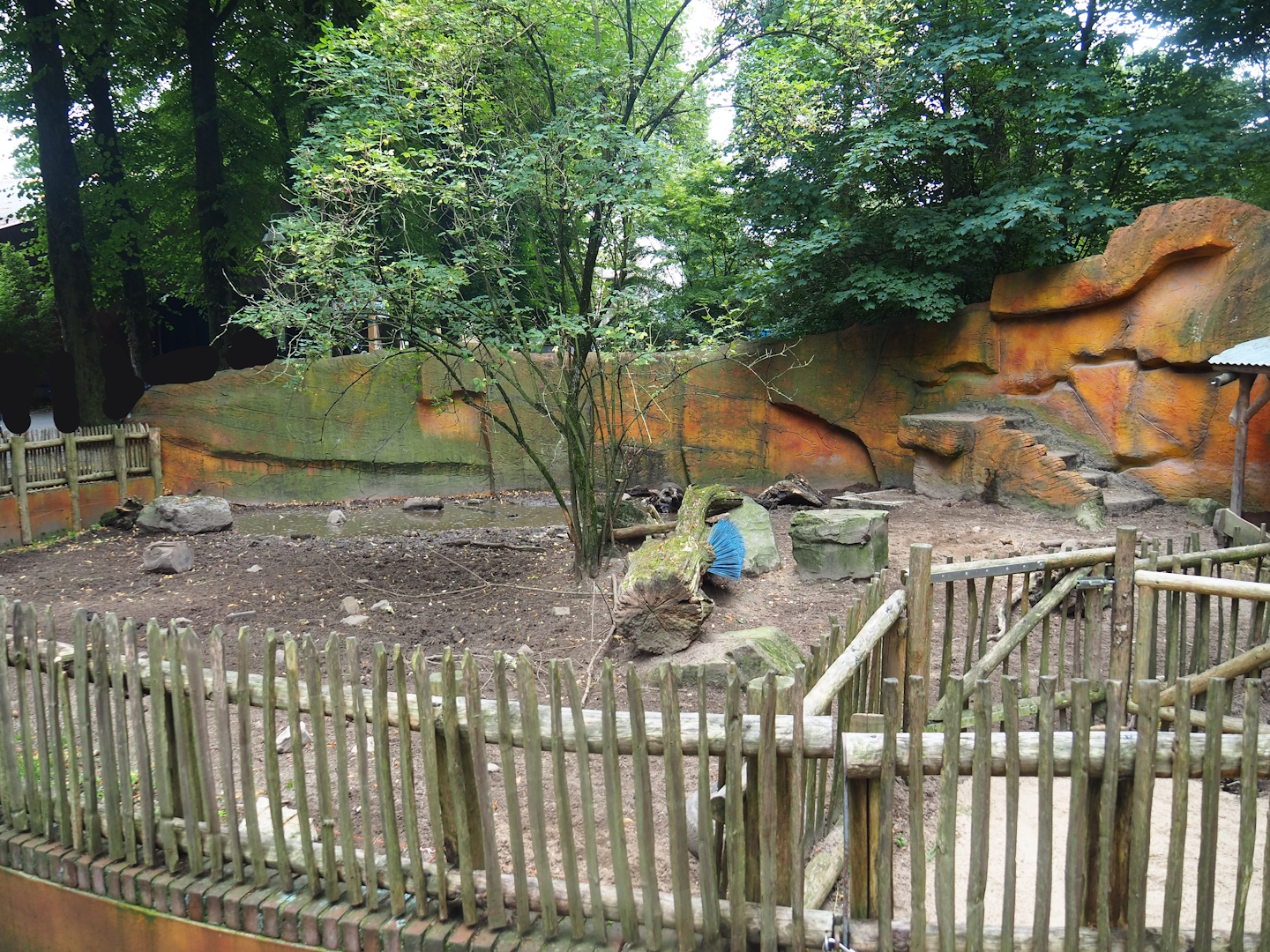 Swallow-bellied Mangalitsa pig exhibit, 2023-08-17