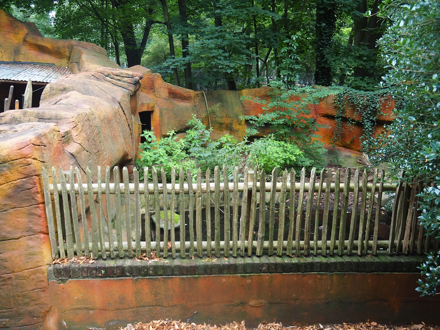 Swallow-bellied Mangalitsa pig side exhibit, 2023-08-17