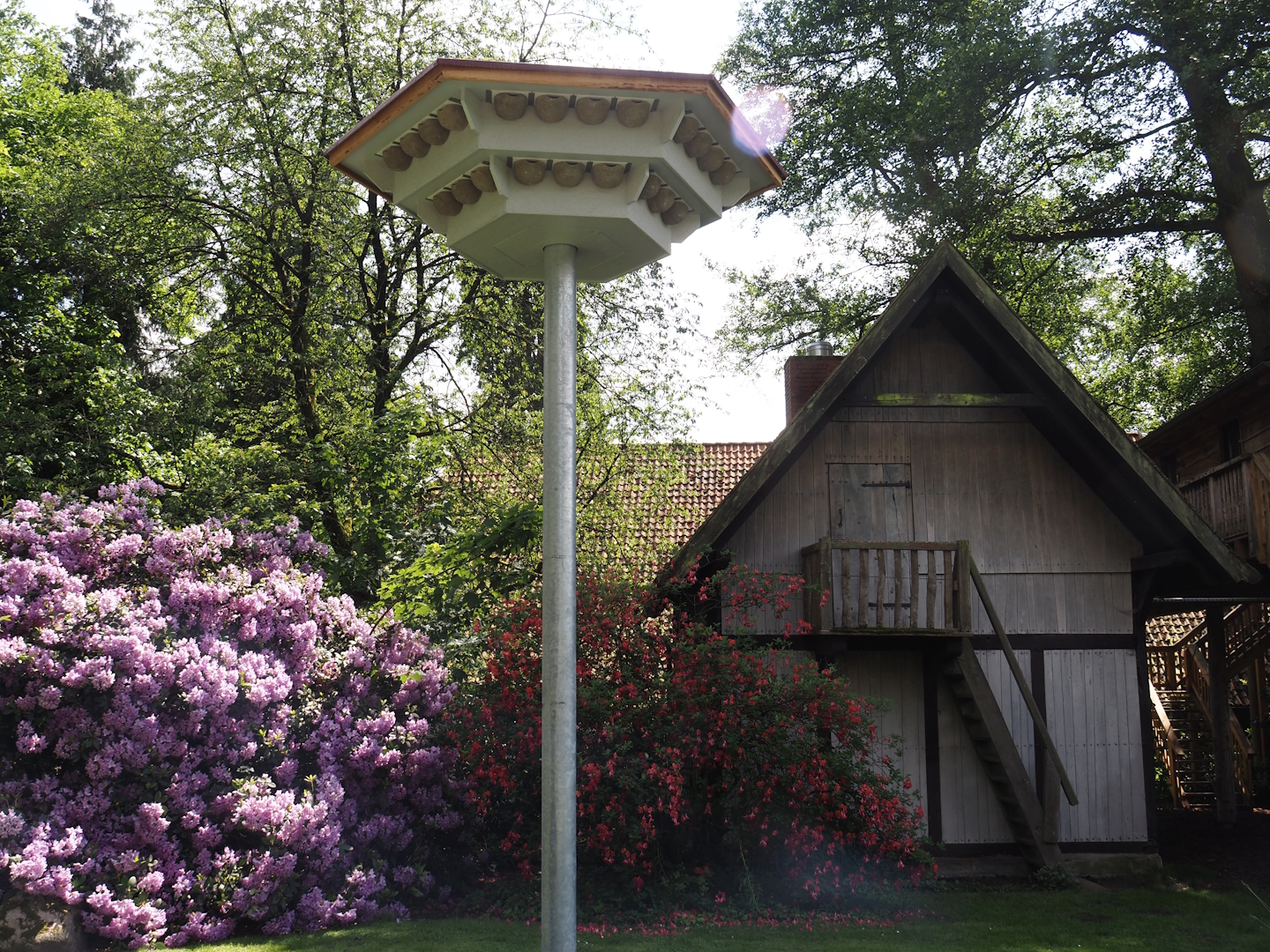 Swallow nest tower and barn, 2024-05-23