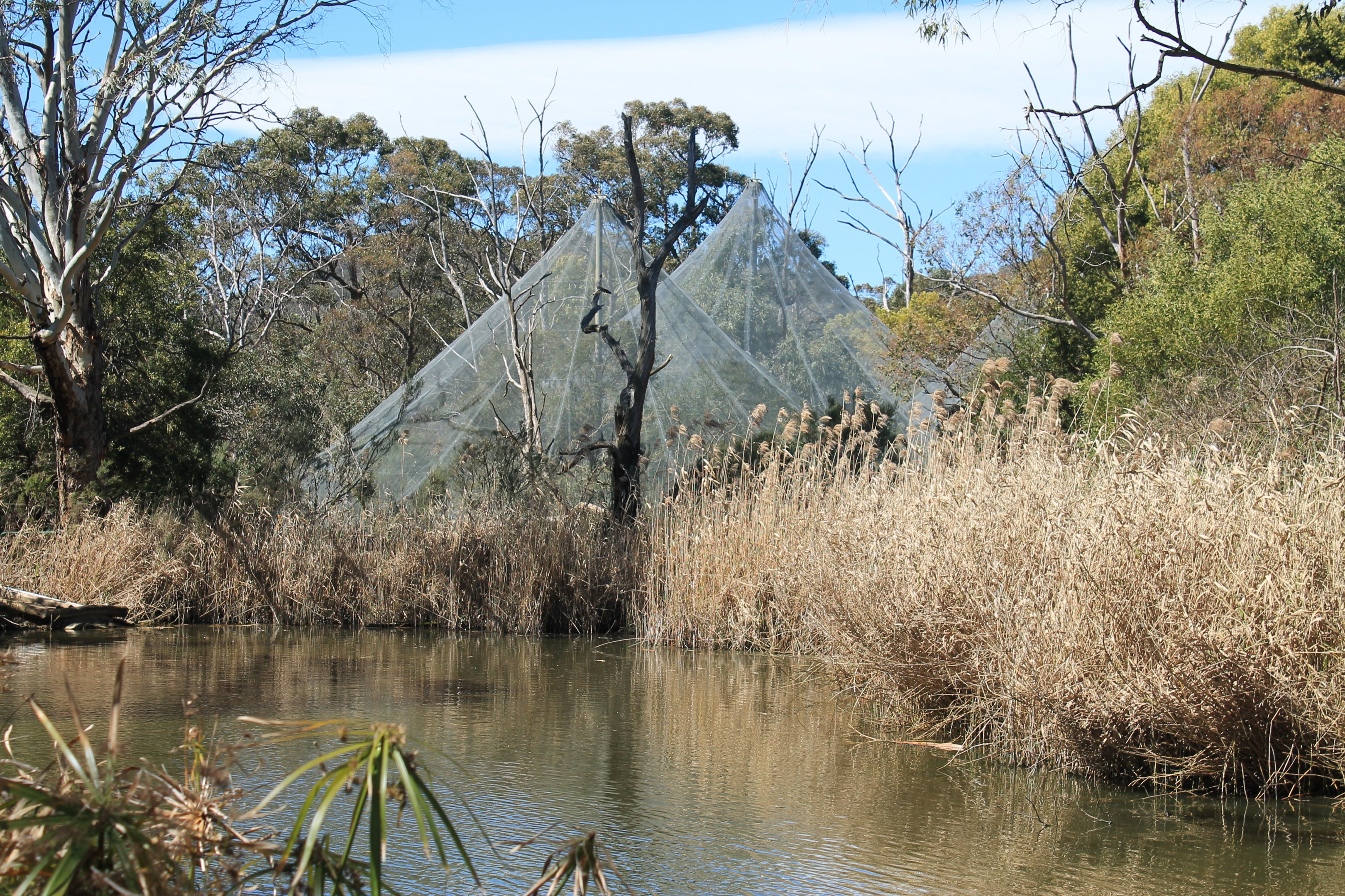 Swamp Aviary exterior