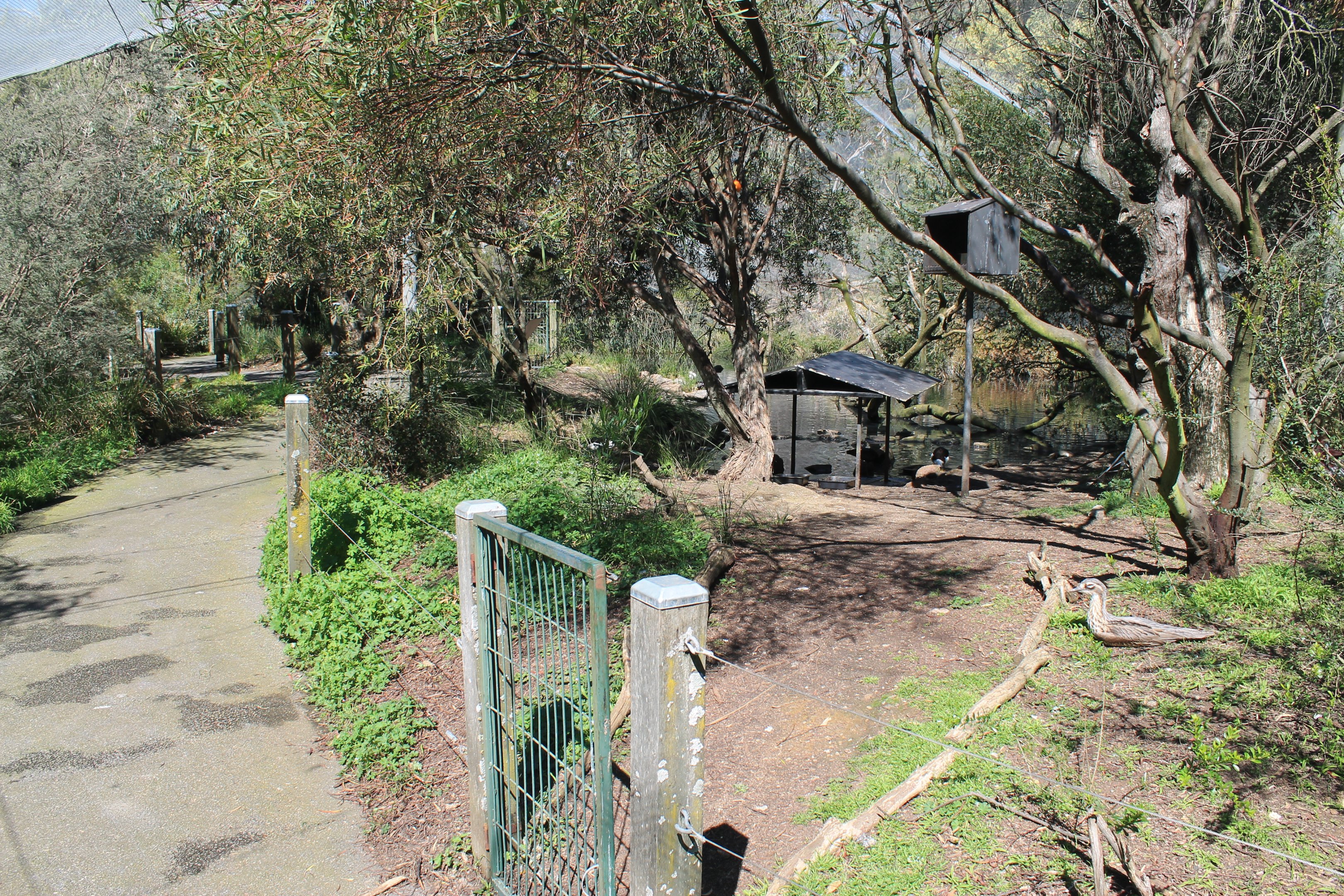 Swamp Aviary interior