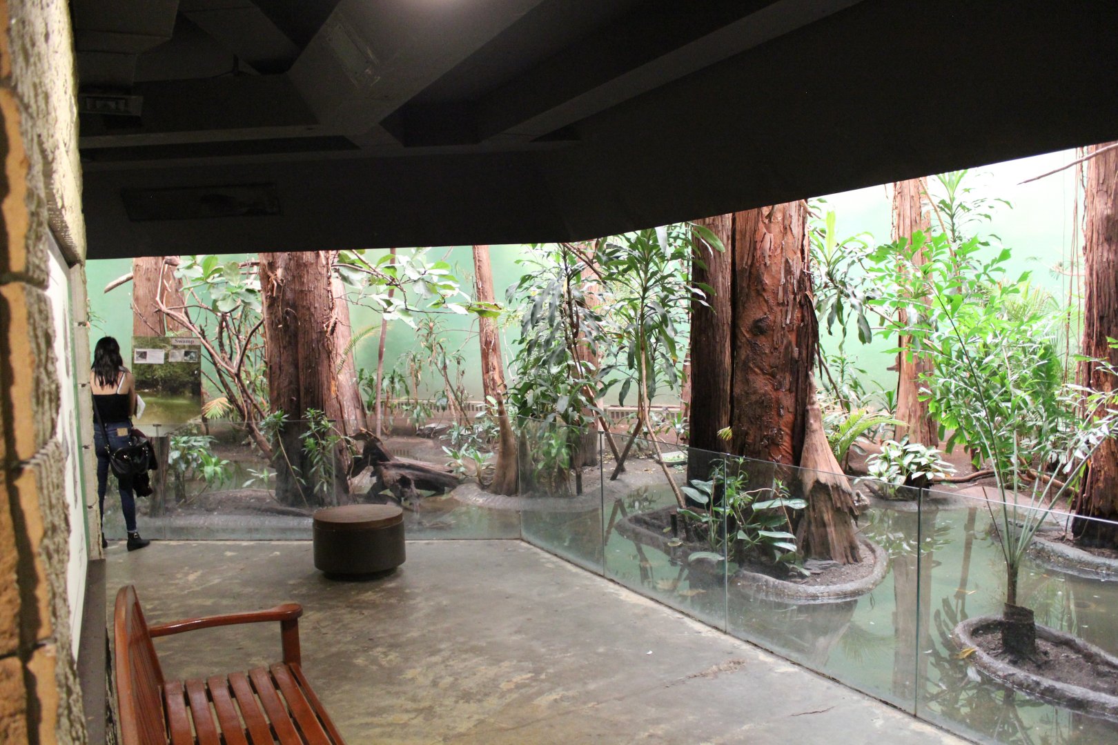 Swamp Enclosure, Birds World - Oct 2017