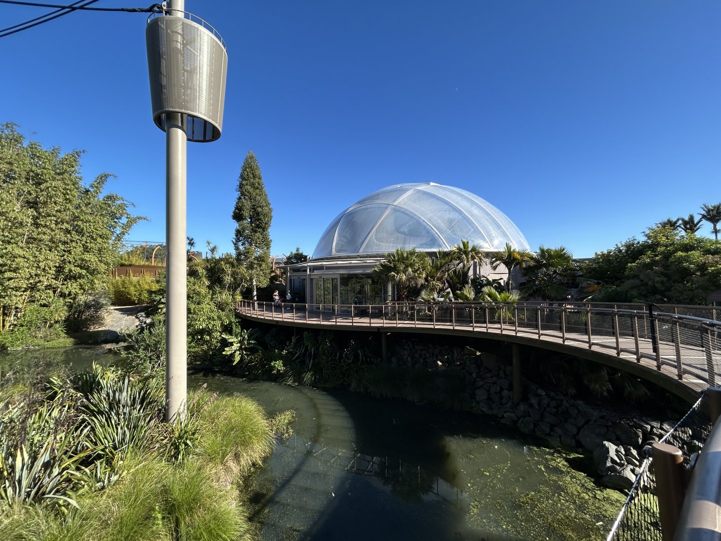 Swamp Forest Dome - Southeast Asian Jungle Track