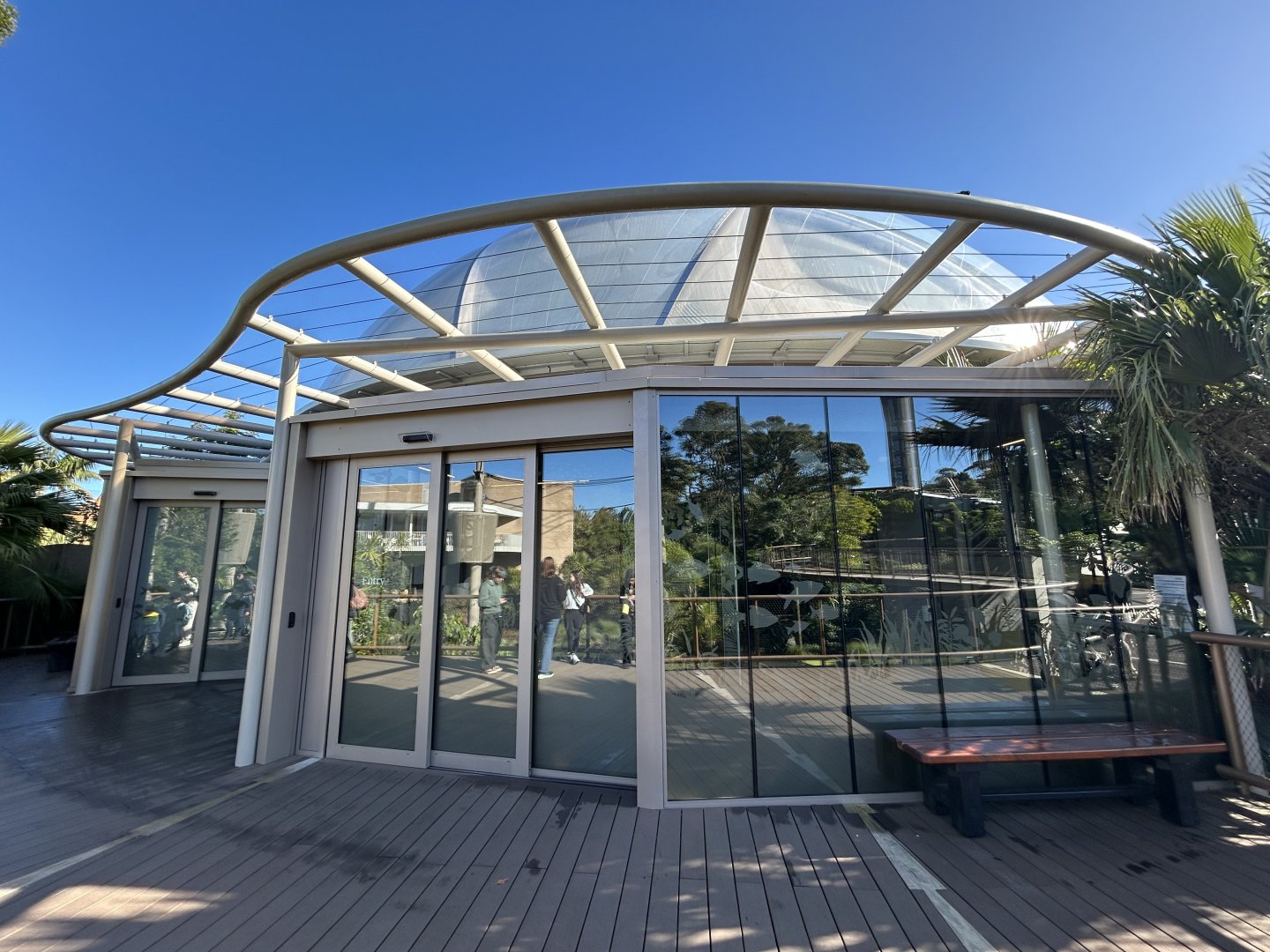 Swamp Forest Dome - Southeast Asian Jungle Track