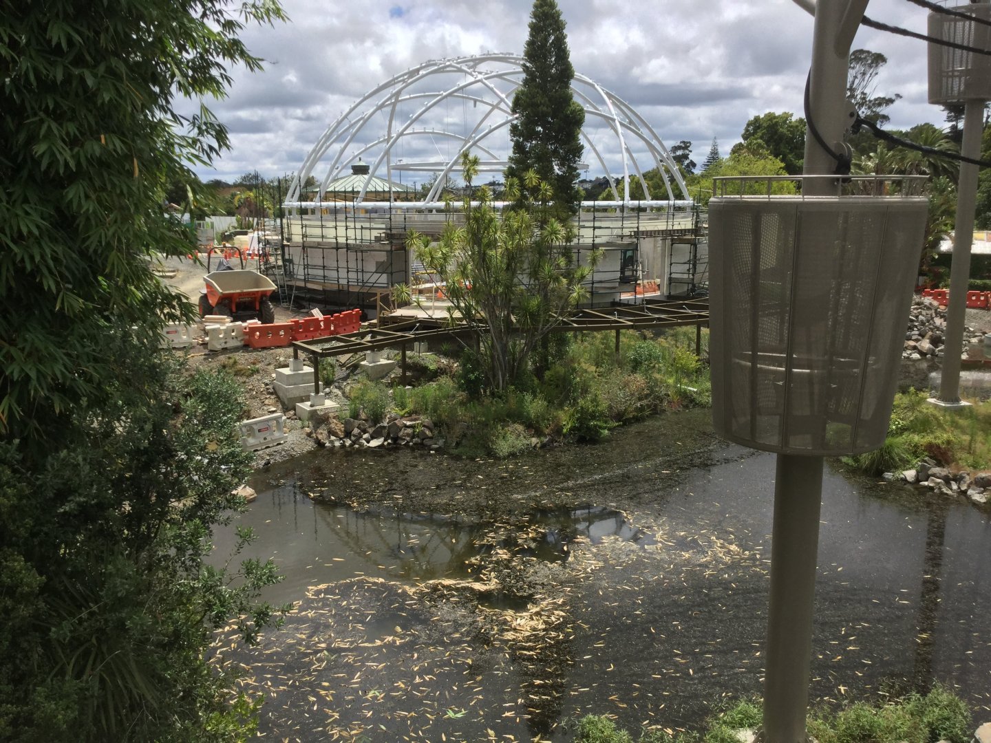 Swamp Forest/Tropical Dome (Opening 2022)