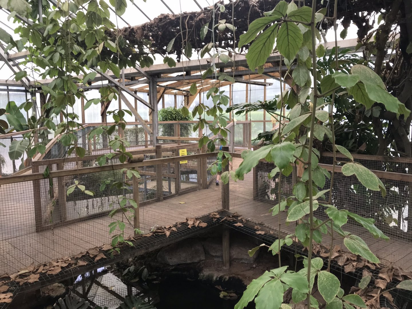 Swamp House interior 070819