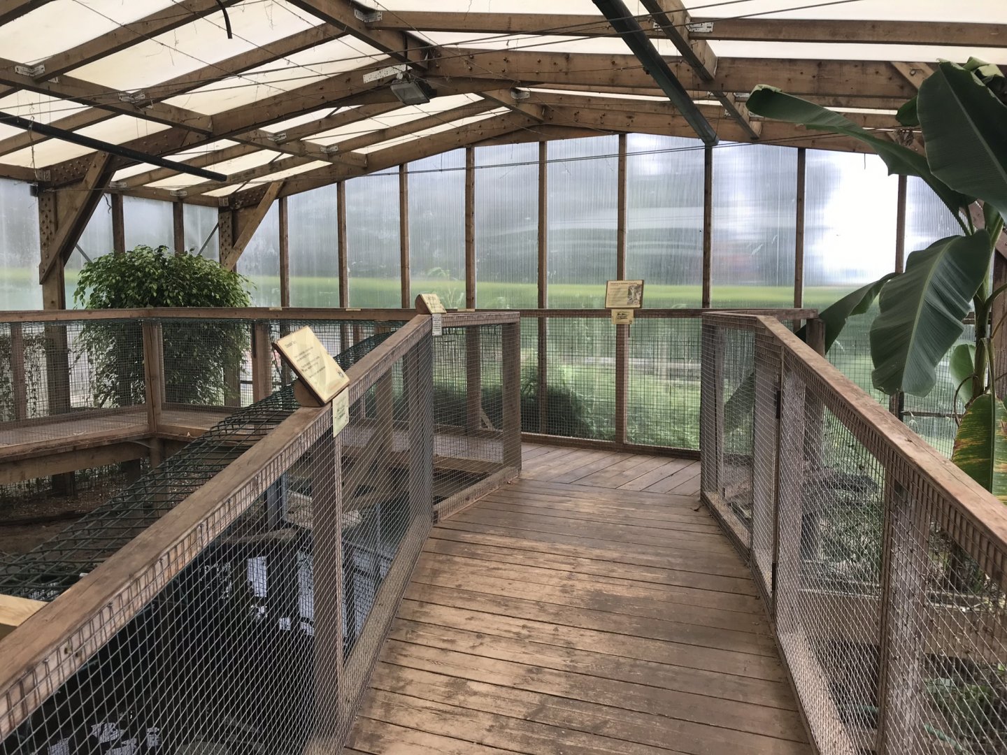 Swamp House interior 070819