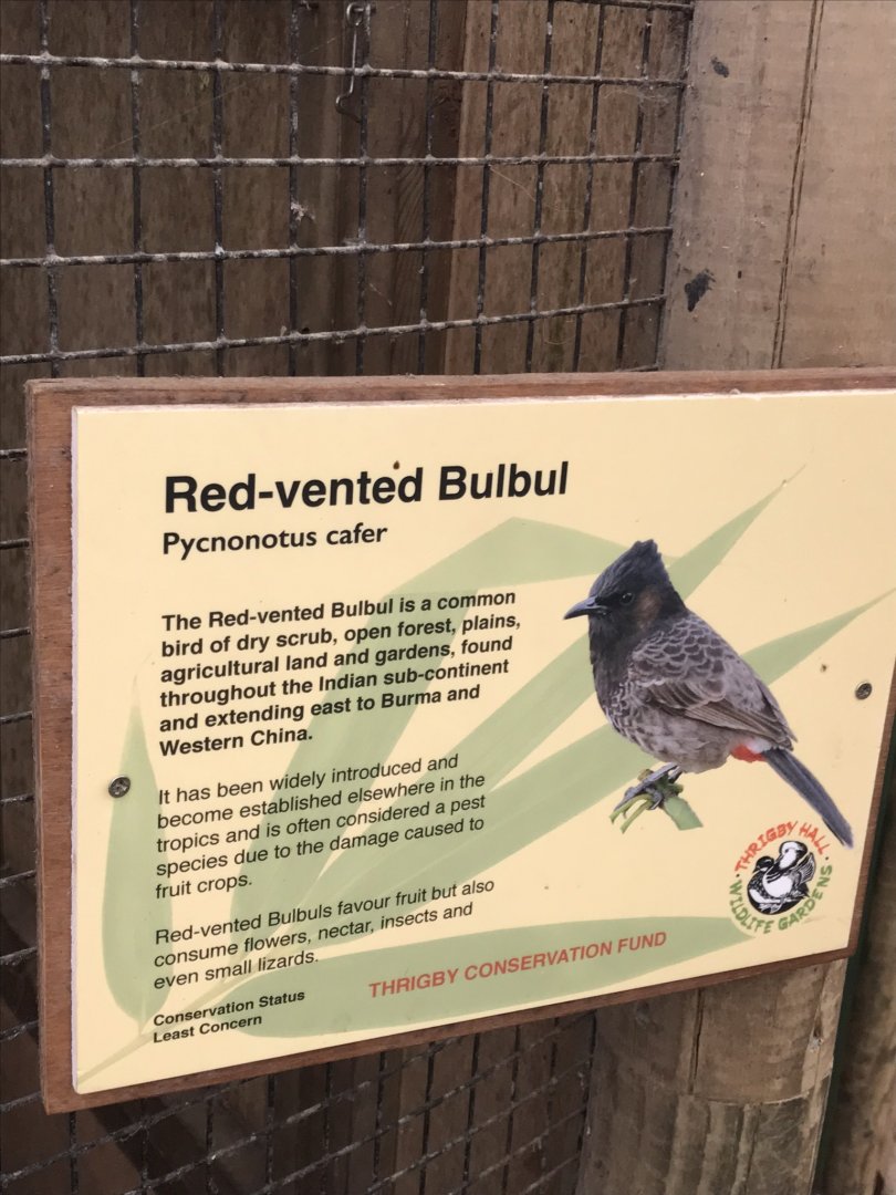 Swamp House signage example 070819