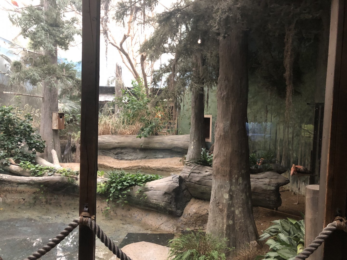 Swamp Indoor Flamingo Exhibit