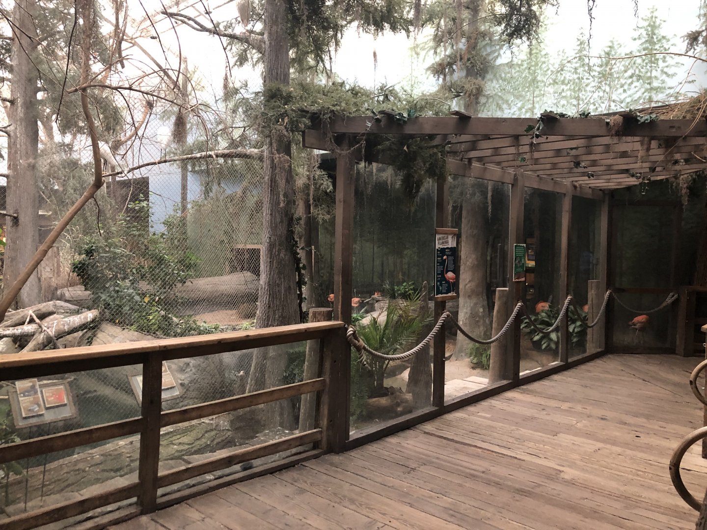 Swamp Indoor Flamingo Exhibit