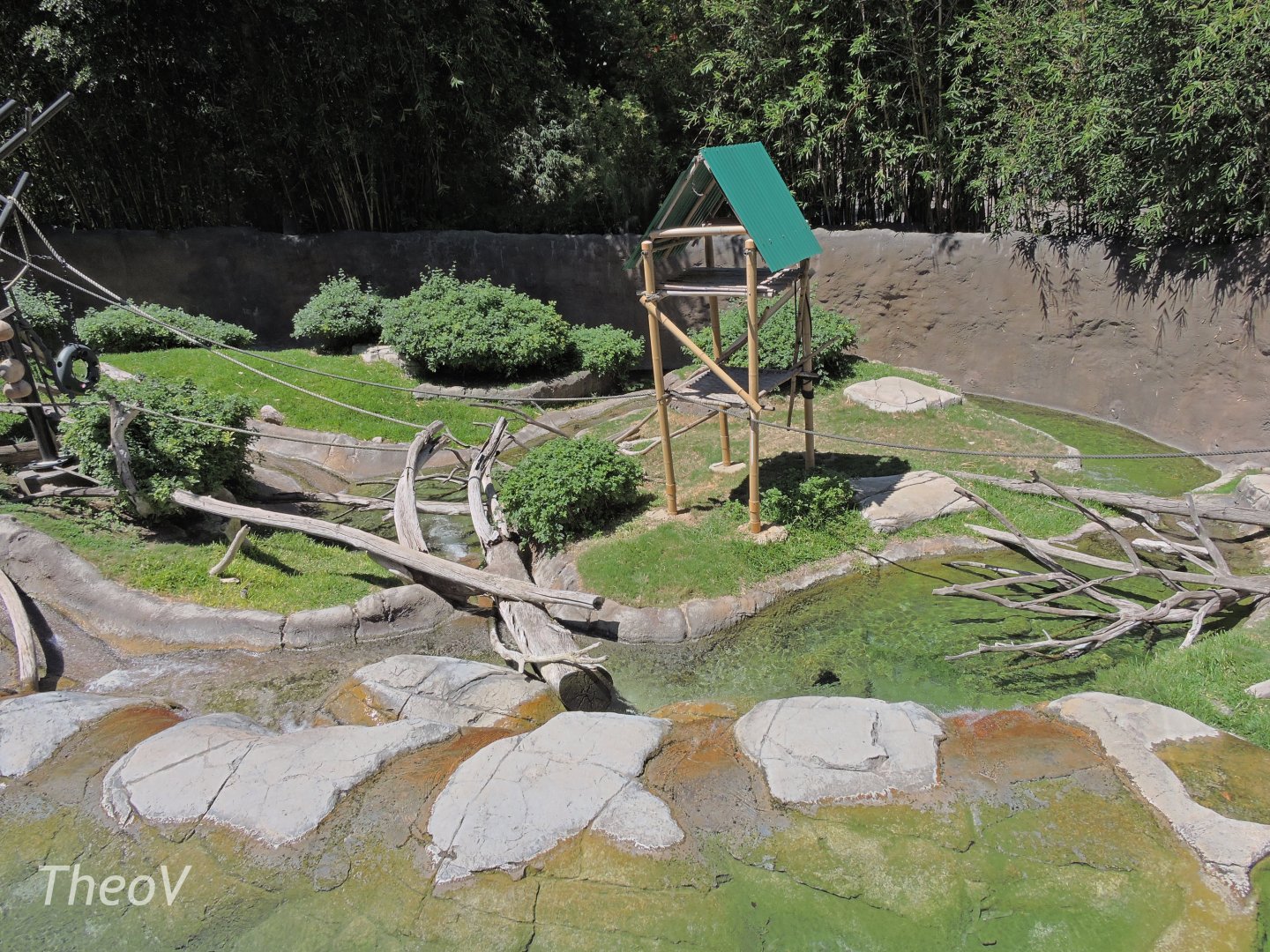 Swamp monkey and otter exhibit - Lost Forest [2015]