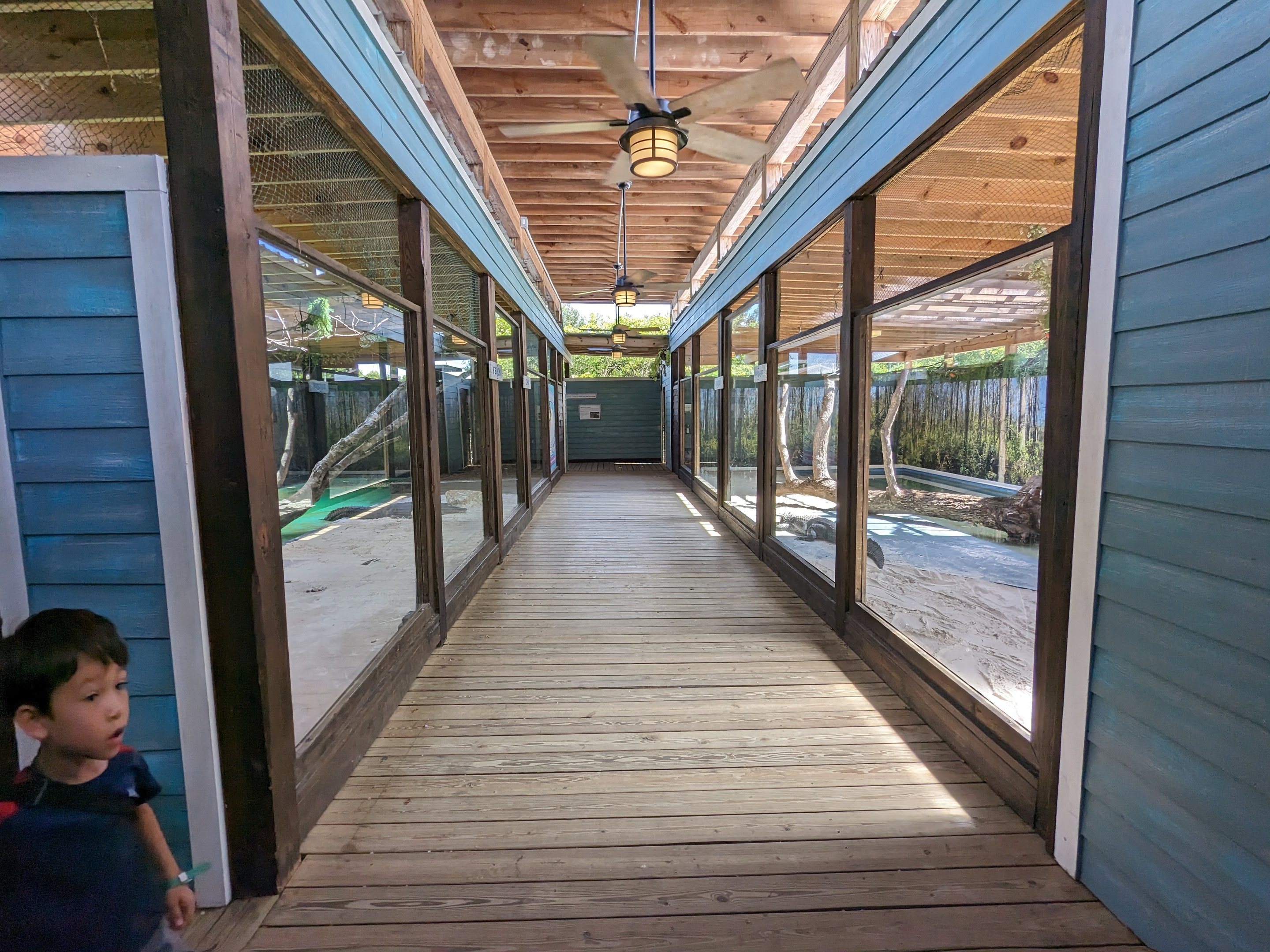 Swamp of the White Gator - hall