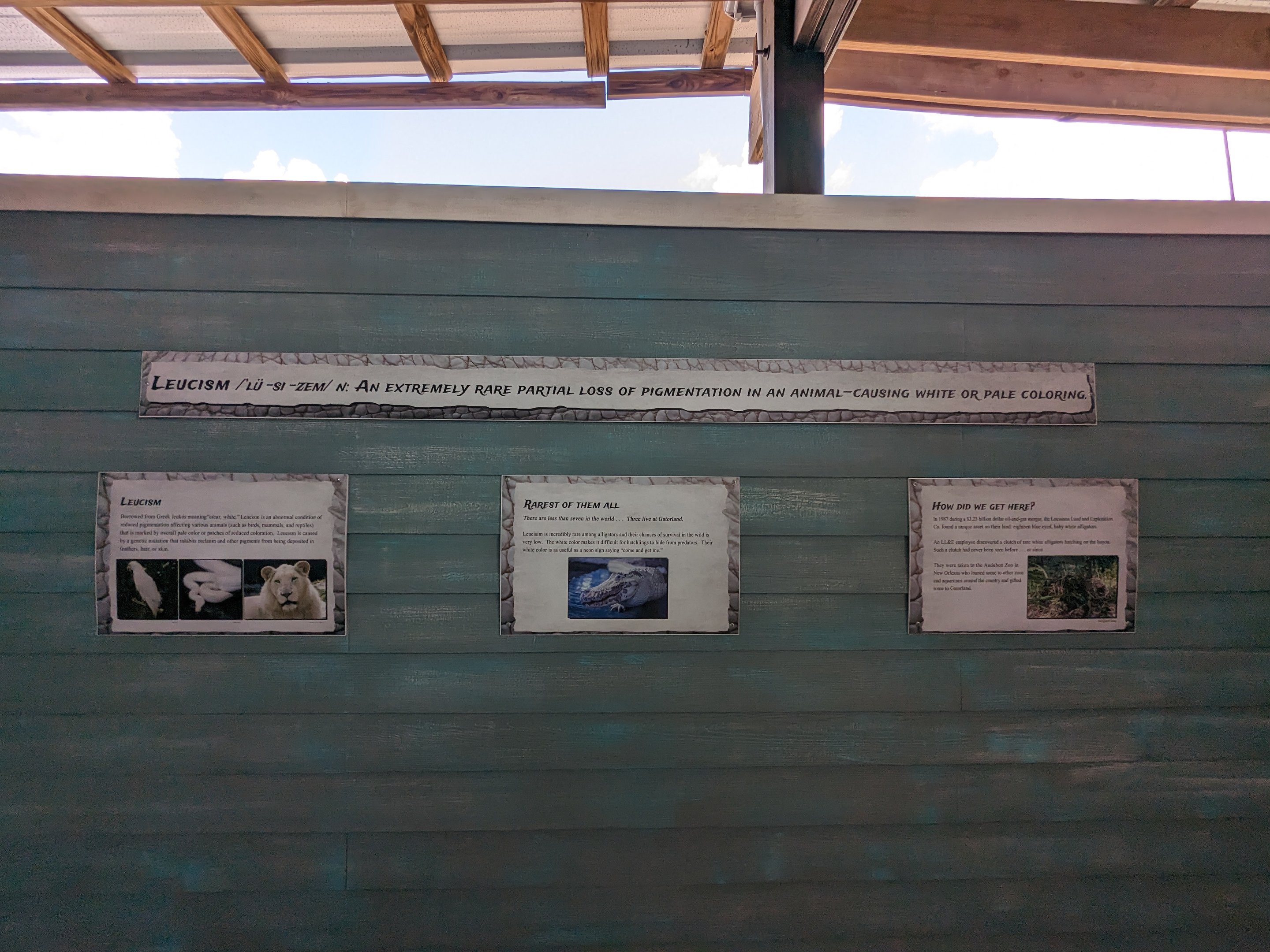 Swamp of the White Gators - Signage