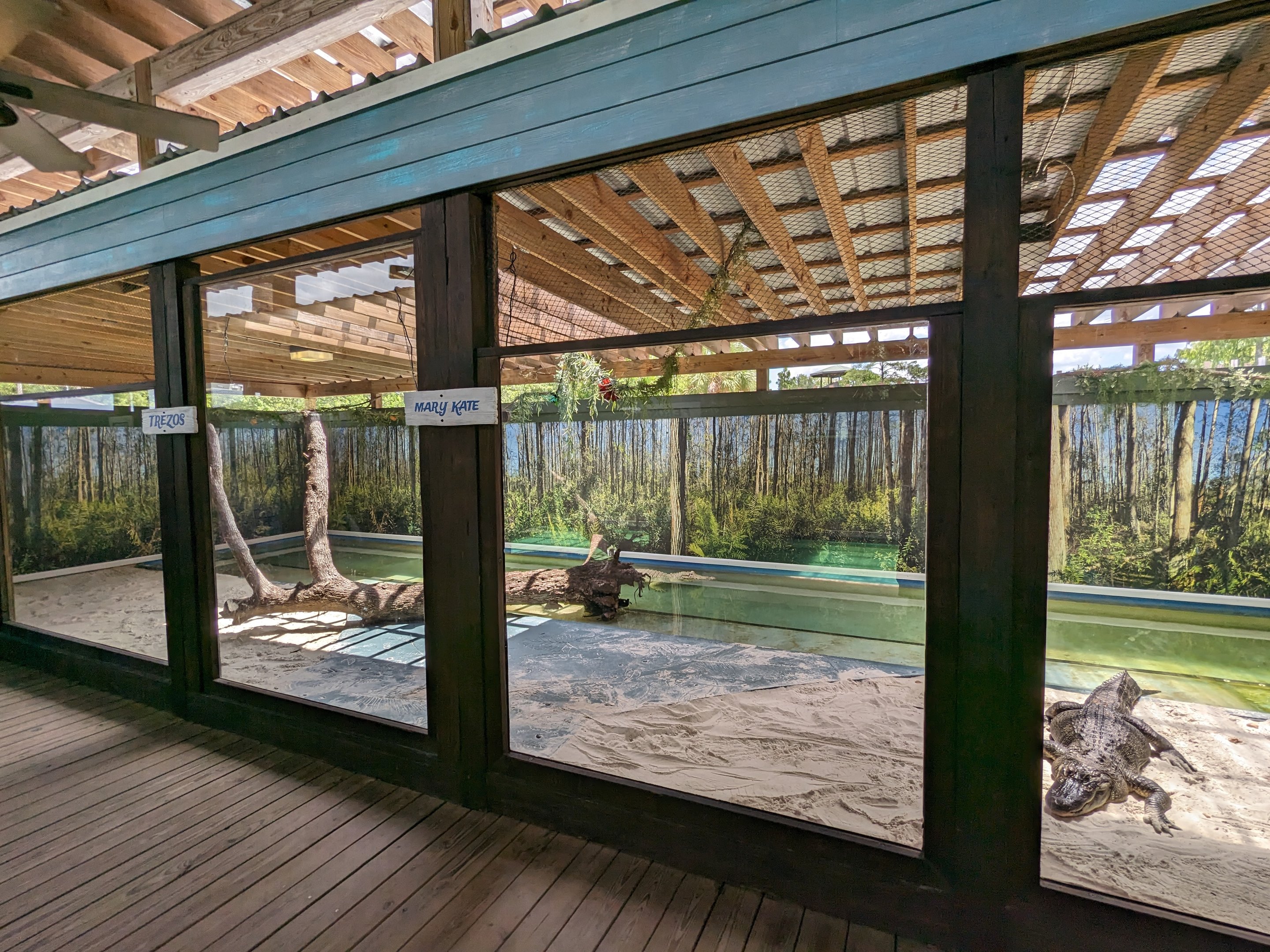 Swamp of the White Gators