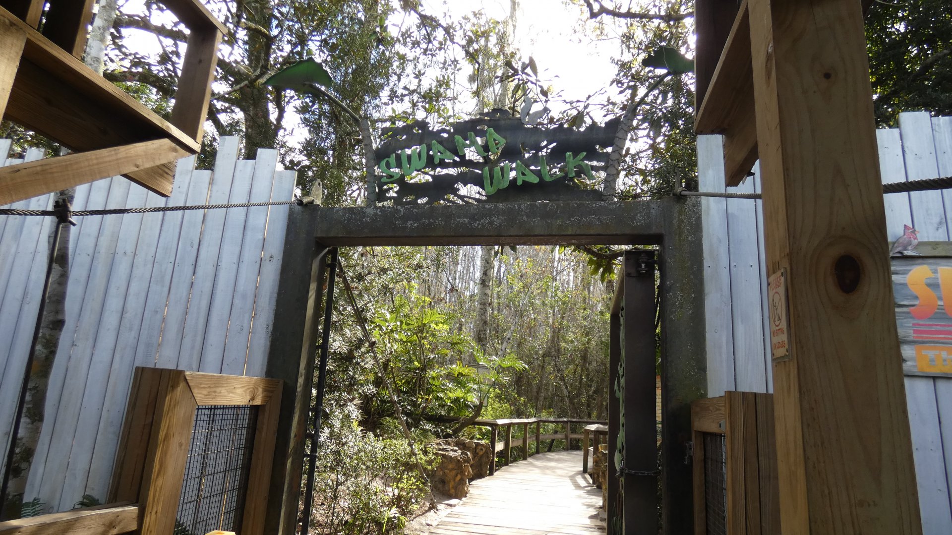 Swamp Walk - Jan. 2022